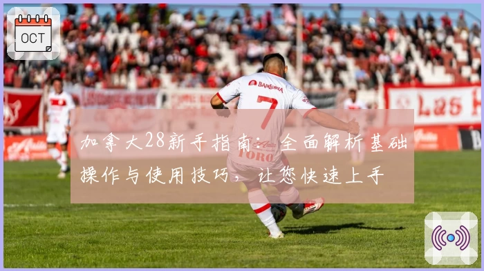 加拿大28新手指南：全面解析基础操作与使用技巧，让您快速上手