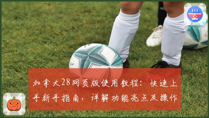 加拿大28网页版使用教程：快速上手新手指南，详解功能亮点及操作体验