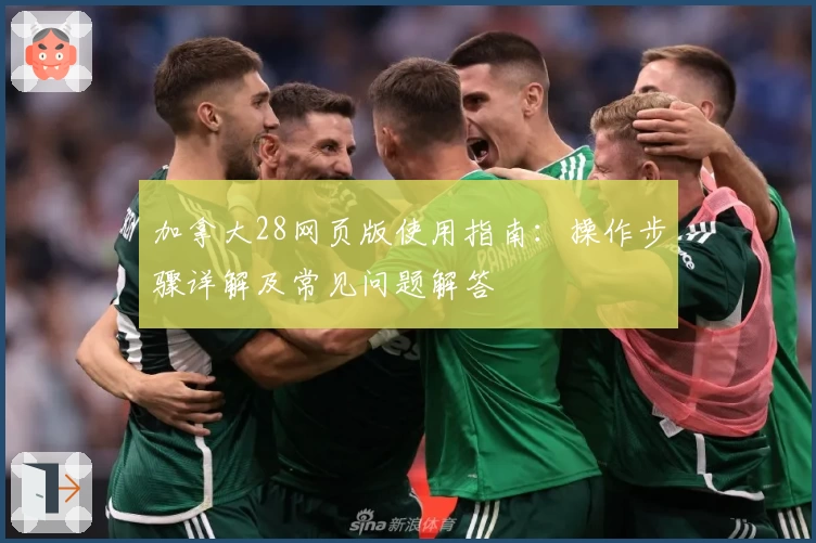 加拿大28网页版使用指南：操作步骤详解及常见问题解答