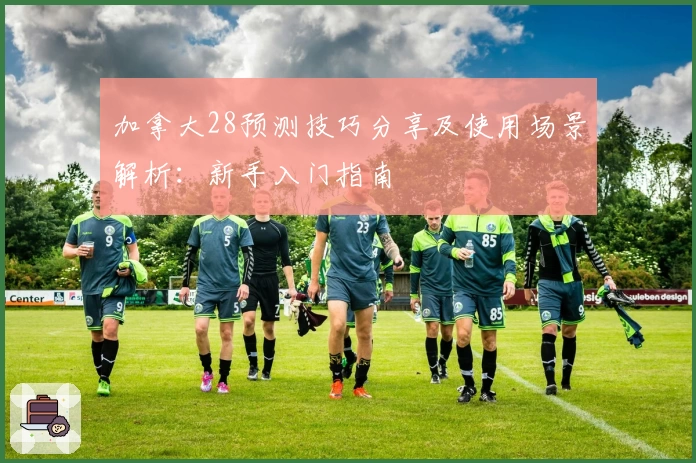 加拿大28预测技巧分享及使用场景解析：新手入门指南