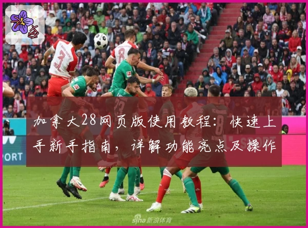 加拿大28网页版使用教程：快速上手新手指南，详解功能亮点及操作体验