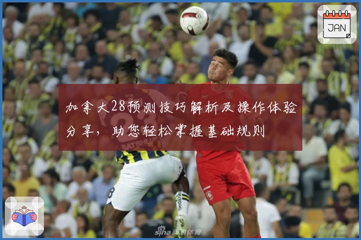 加拿大28预测技巧解析及操作体验分享，助您轻松掌握基础规则