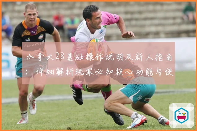 加拿大28基础操作说明及新人指南：详细解析玩家必知核心功能与使用技巧