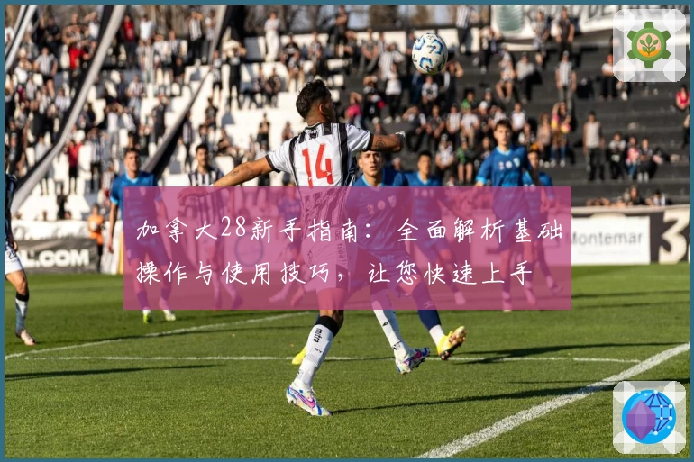 加拿大28新手指南：全面解析基础操作与使用技巧，让您快速上手