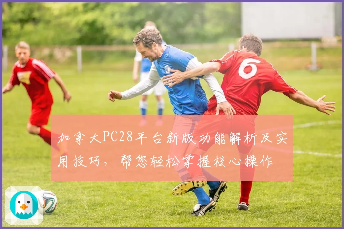 加拿大PC28平台新版功能解析及实用技巧，帮您轻松掌握核心操作