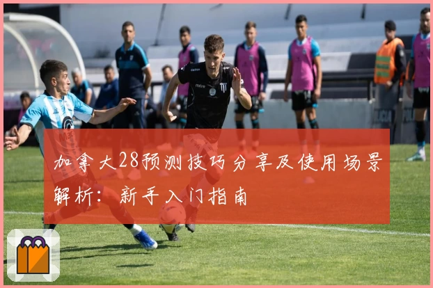 加拿大28预测技巧分享及使用场景解析：新手入门指南