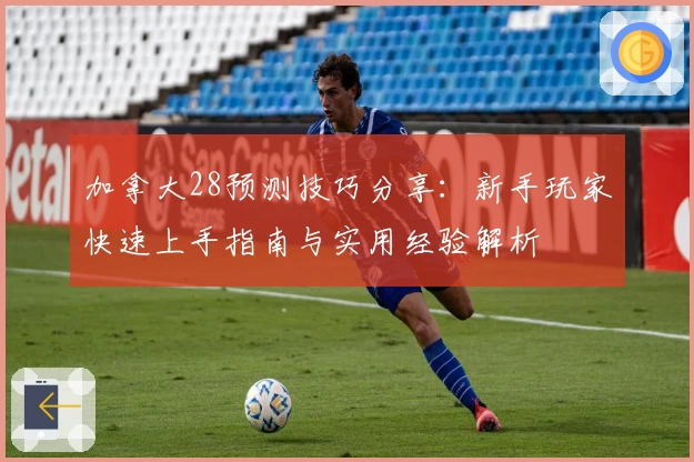 加拿大28预测技巧分享：新手玩家快速上手指南与实用经验解析