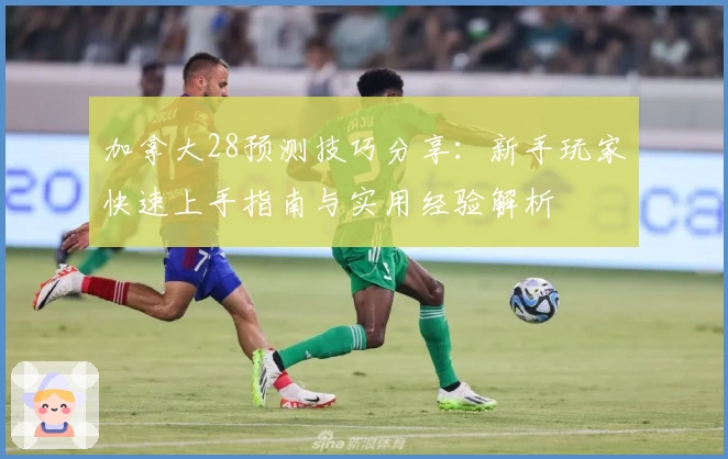 加拿大28预测技巧分享：新手玩家快速上手指南与实用经验解析