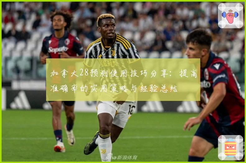 加拿大28预测使用技巧分享：提高准确率的实用策略与经验总结