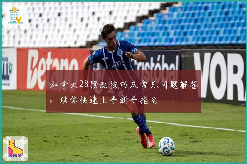 加拿大28预测技巧及常见问题解答，助你快速上手新手指南
