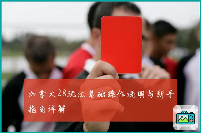 加拿大28玩法基础操作说明与新手指南详解