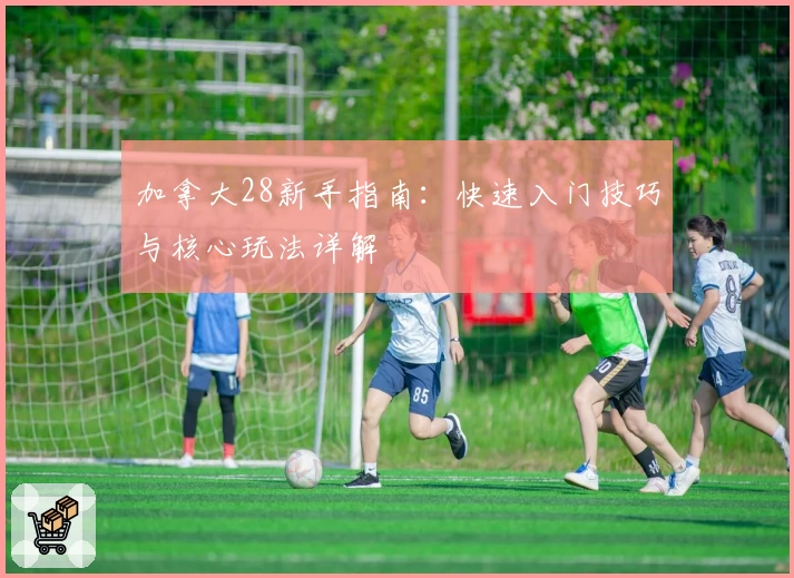 加拿大28新手指南：快速入门技巧与核心玩法详解