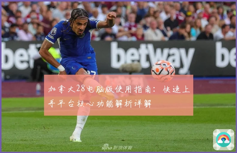 加拿大28电脑版使用指南：快速上手平台核心功能解析详解