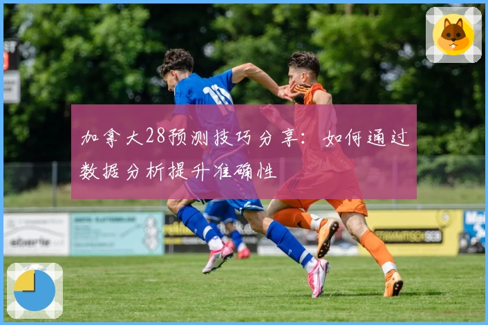 加拿大28预测技巧分享：如何通过数据分析提升准确性