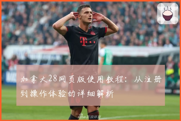 加拿大28网页版使用教程：从注册到操作体验的详细解析